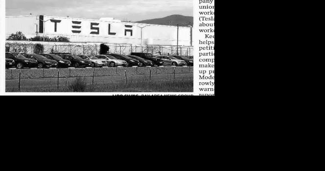 Musk, Tesla are enticing targets - Vimarsana News