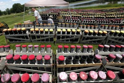 Rhythms Of Nature Without Booms >> Controversial Rhythm And Booms Fireworks Show Violated Wetlands Law Rhythms Of Nature Without Booms >> Controversial Rhythm And Booms Fireworks Show Violated Wetlands Law