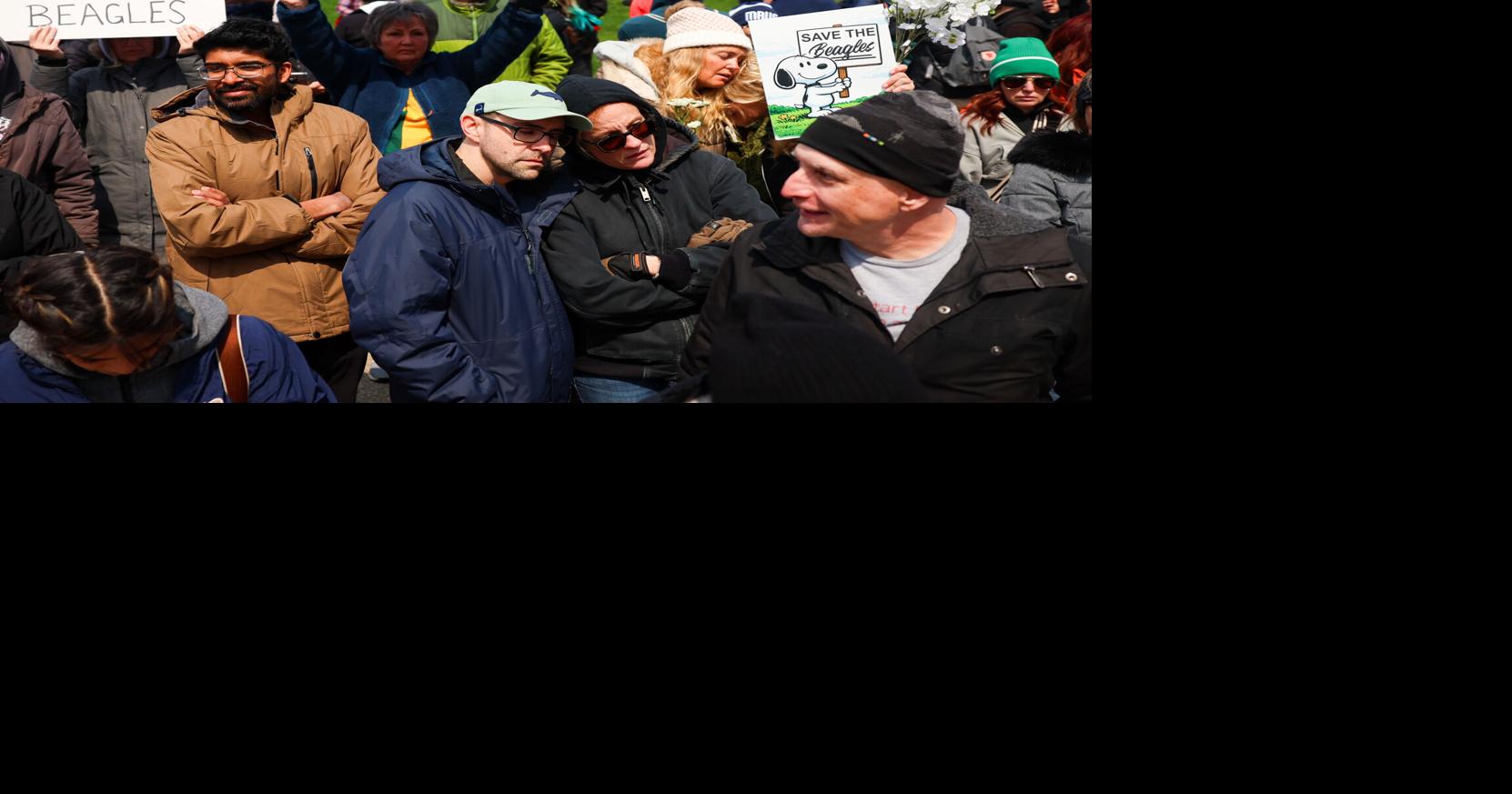 Complete coverage: Ridglan Farms beagle controversy