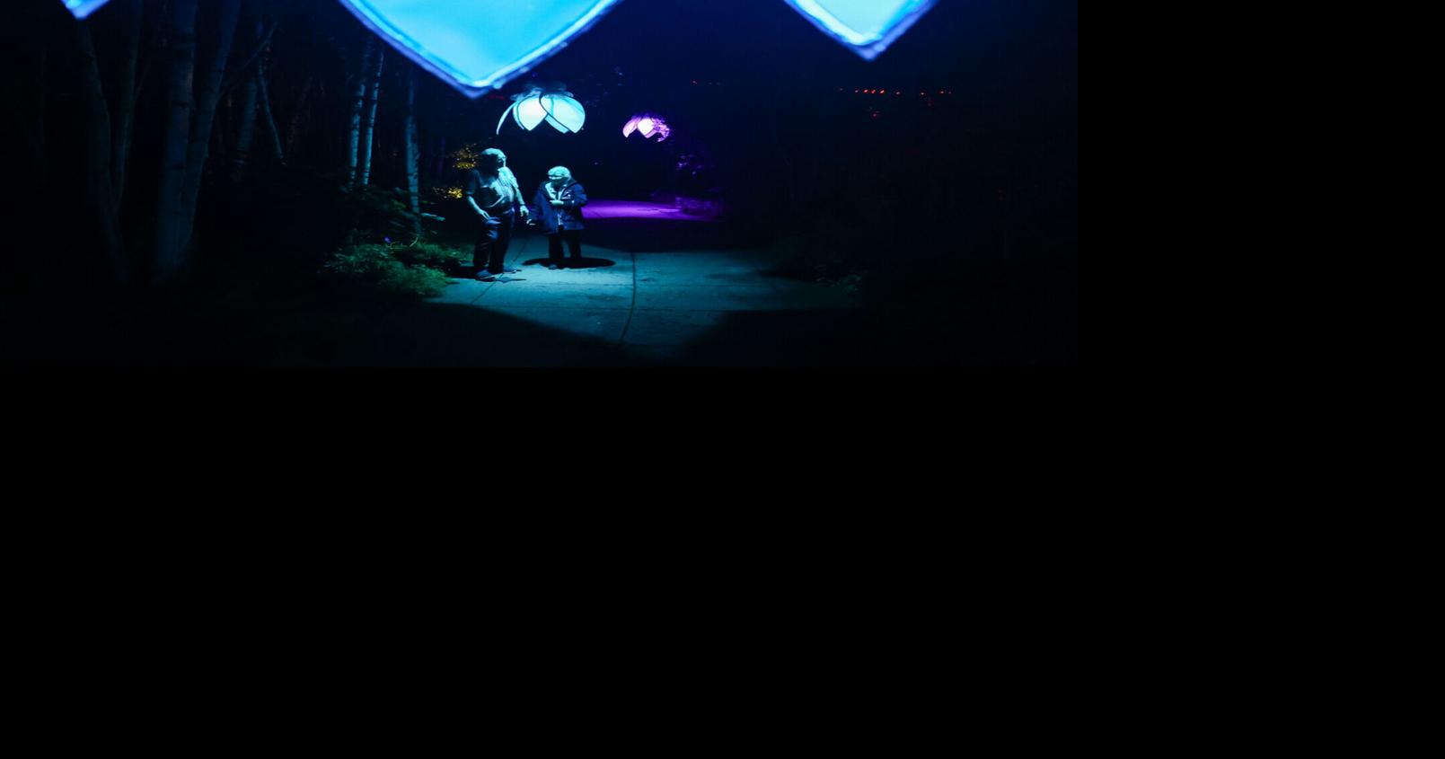 Photos: GLEAM returns to Olbrich Botanical Gardens