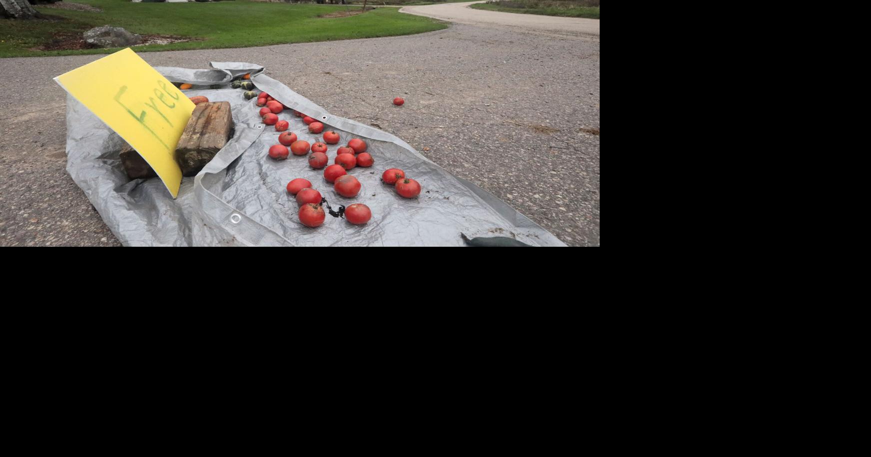 Photos: The Rustic Roads of Wisconsin