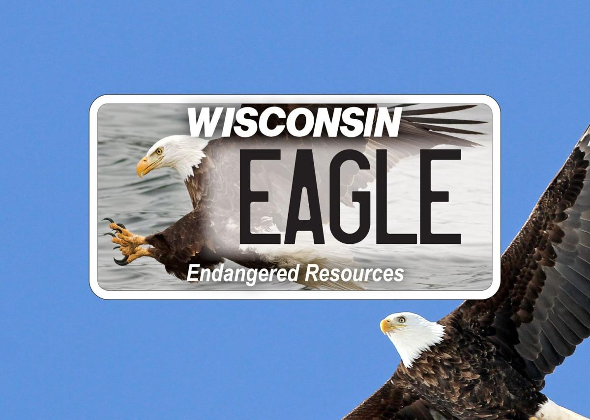 DNR Celebrates National Eagle Day