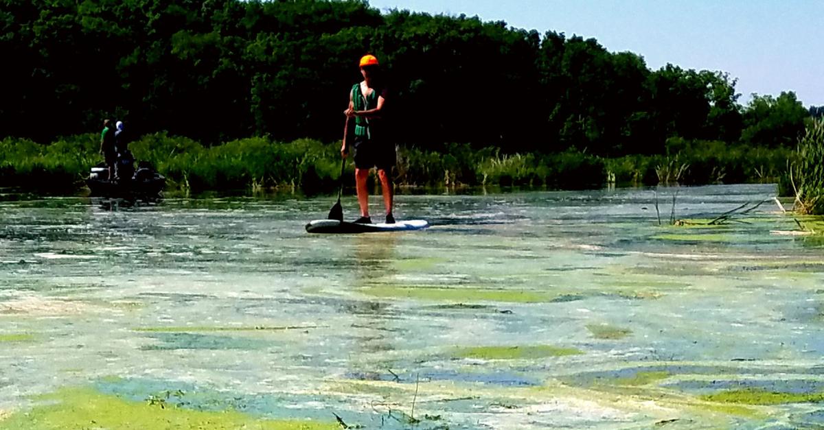Idyllic Summer Day On Lake Wingra But >> Spencer Black Degrading Our Waterways Part Of Scott Walker S Legacy Idyllic Summer Day On Lake Wingra But >> Spencer Black Degrading Our Waterways Part Of Scott Walker S Legacy