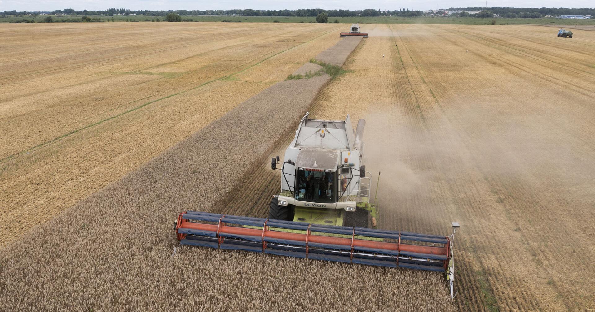 Russia's threat to pull out of Ukraine grain deal raises fears about global food security - Vimarsana News