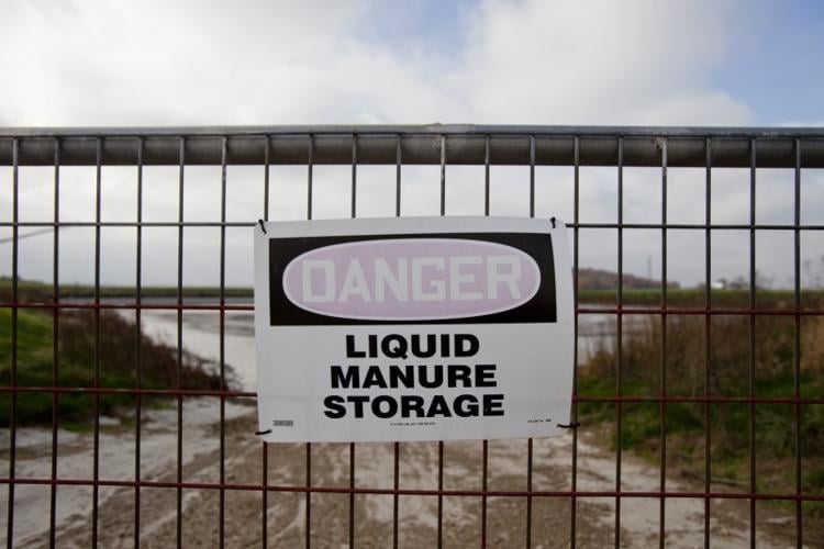 factory farms (Day 1) No. 20
