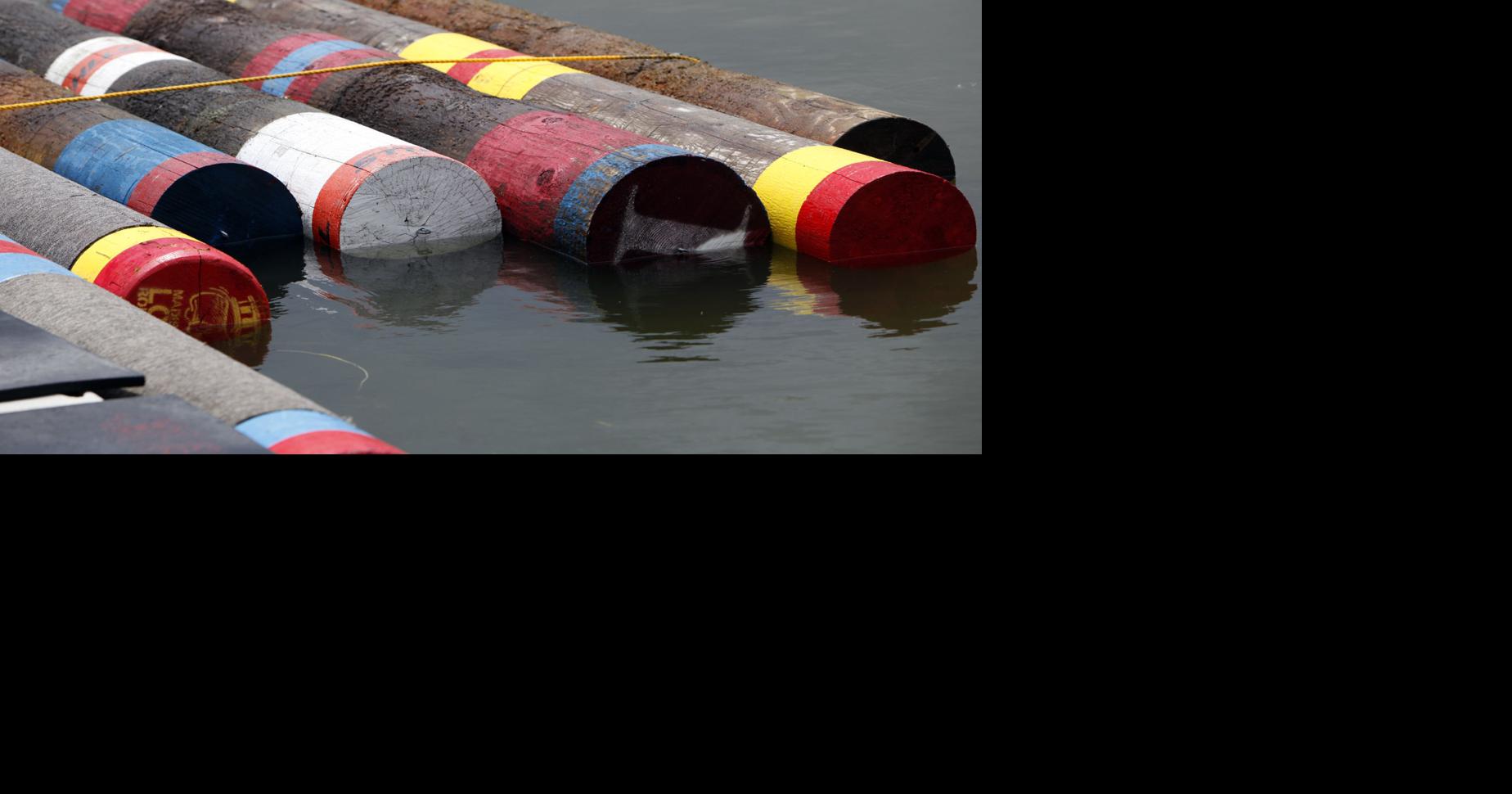 Blue Sky Science: Why do some logs float and some sink?