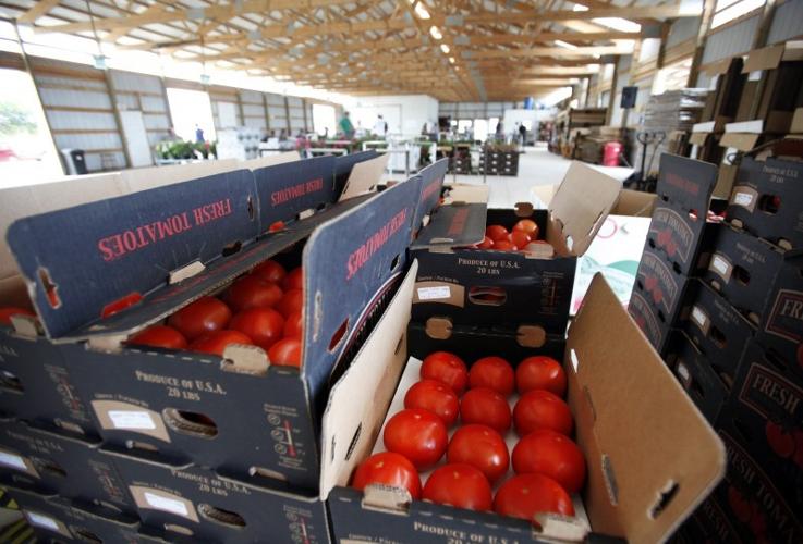 On Wisconsin Fennimore auction brings Amish farmers' bounty to public