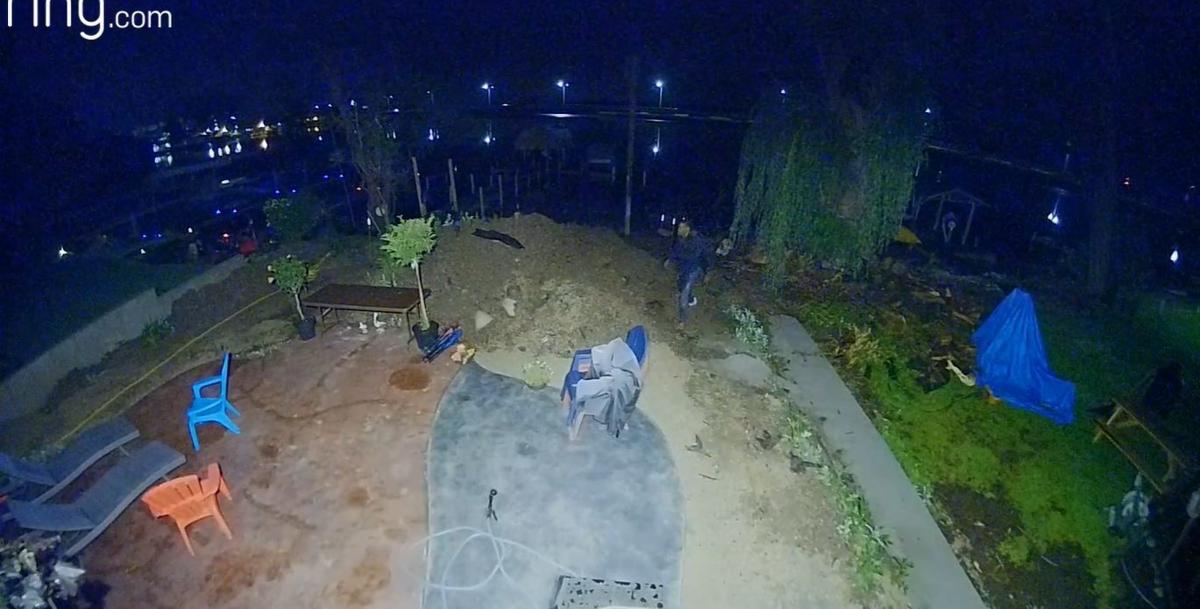 Backyard surveillance video