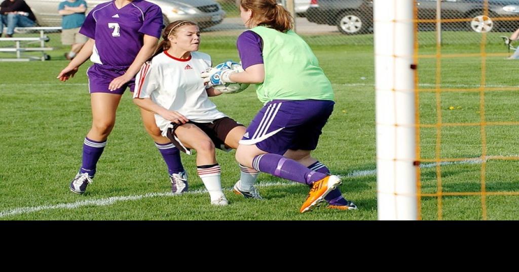 Prep sports WIAA board OKs moving PalmyraEagle, Orfordville Parkview