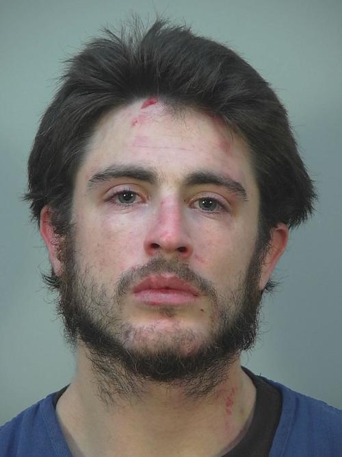 Chaz D. Walsh booking photo