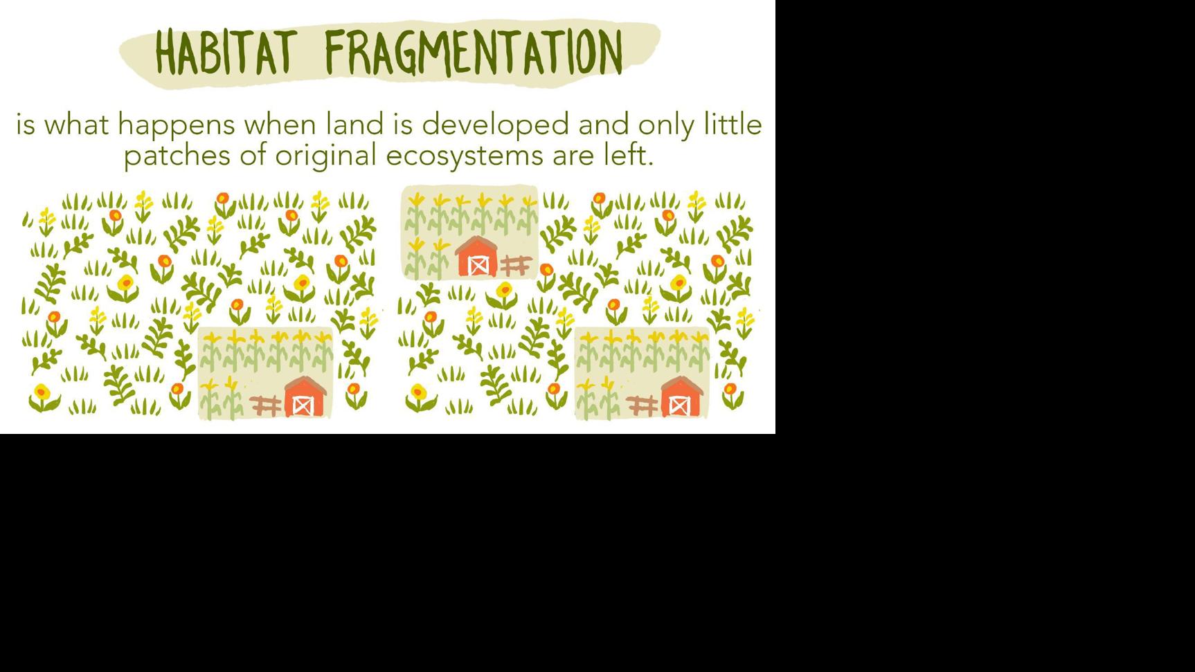 Habitat fragmentation study explained
