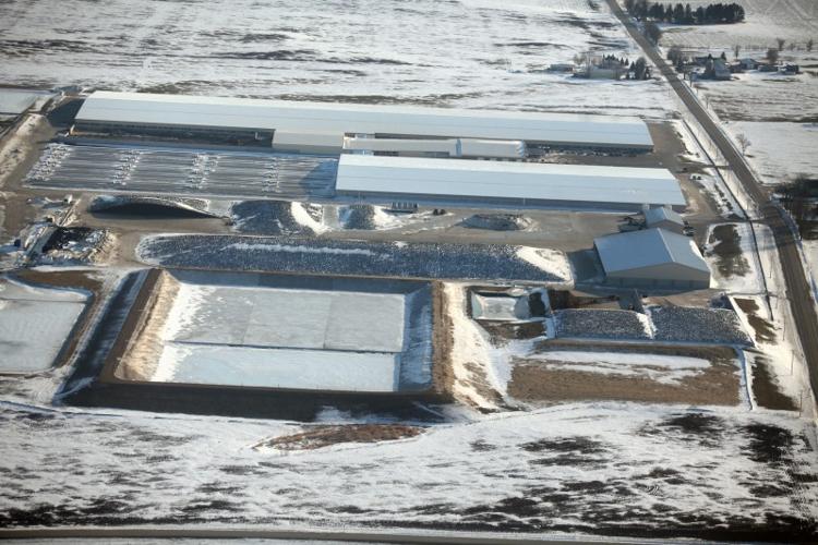  factory farm (Day 1) No. 3