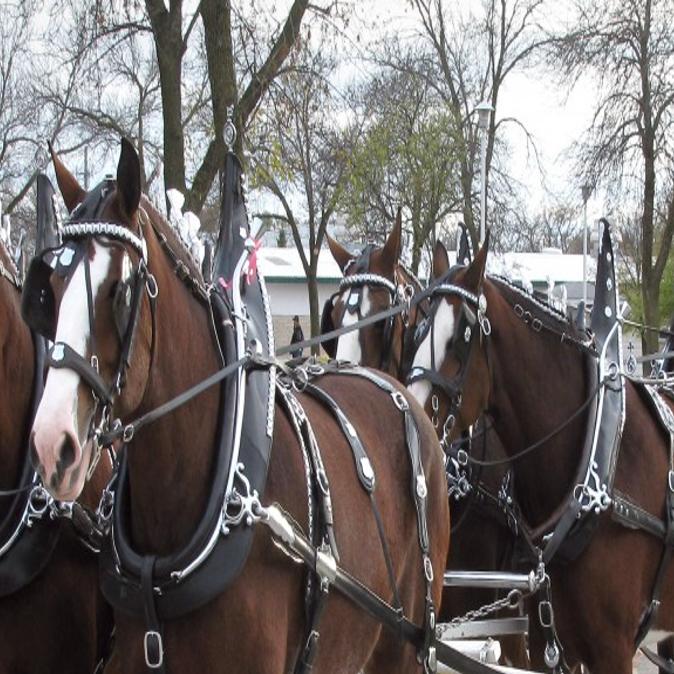 Four Years After Carbon Monoxide Deaths Safety Reigns At - 