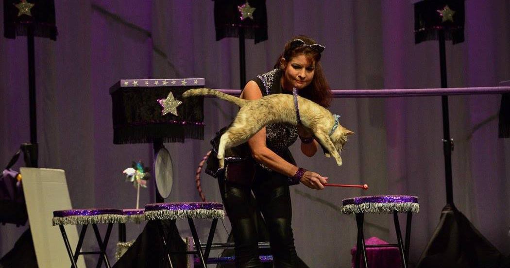 MADISON IN A MINUTE | WEEKEND EVENTS 23 great ideas for your Madison-area weekend