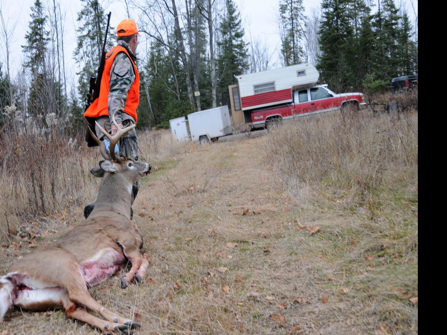 New Urgency For Hunters To Test Deer For Cwd Lab Says Local Government Madison Com Representing the lone star state in the u.s.