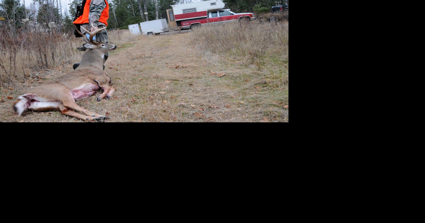 New urgency for hunters to test deer for CWD, lab says