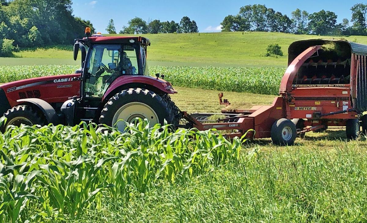 Make hay fast while the sun shines