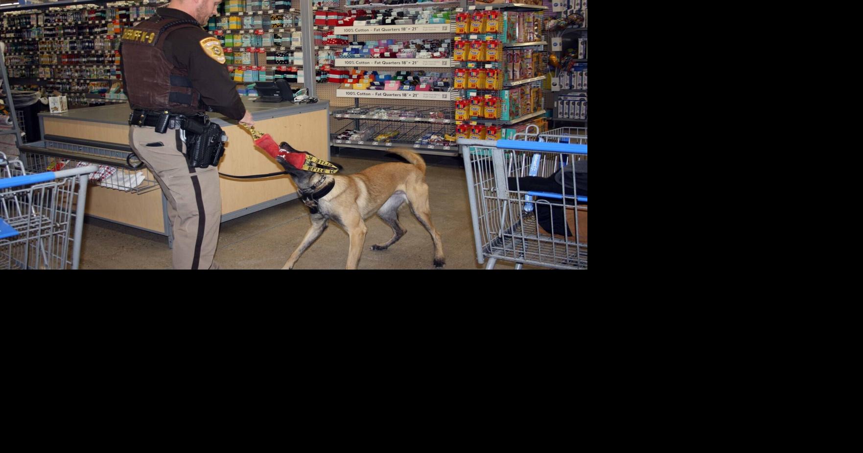Sauk County debuts K-9 golf fundraiser as Portage's marks a decade JOHN GITTINGS Sep 9, 2026 5 mins ago