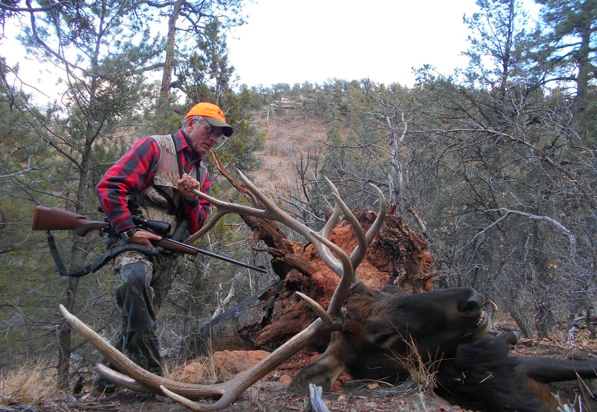 Wisconsin launches first elk hunt