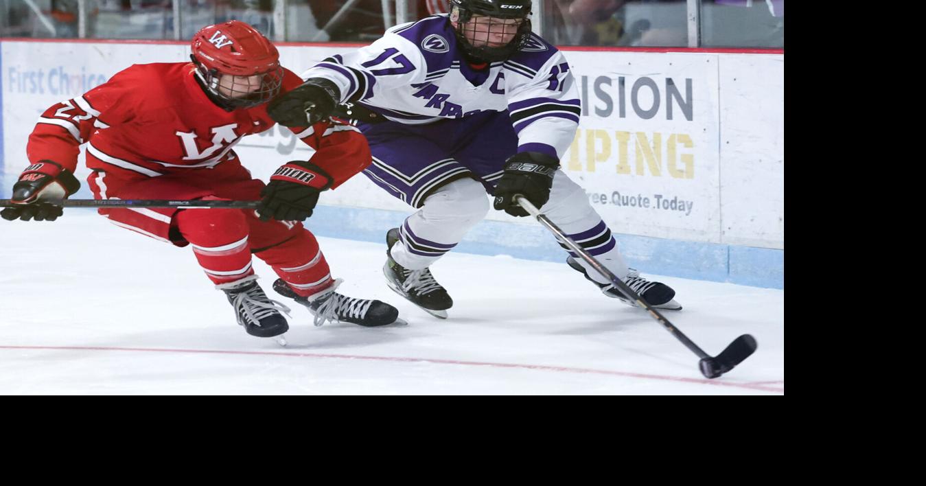 See State Journal/WiscNews boys hockey All-Supernova team