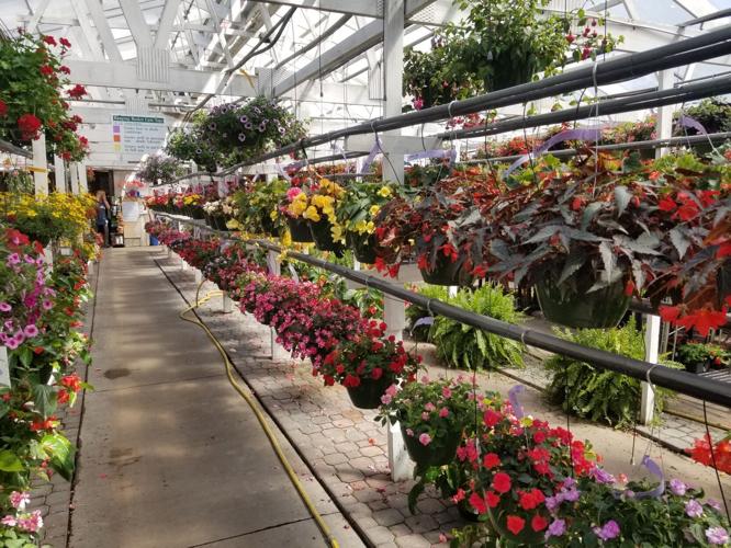2019-05-14 10.46.56-1.jpg