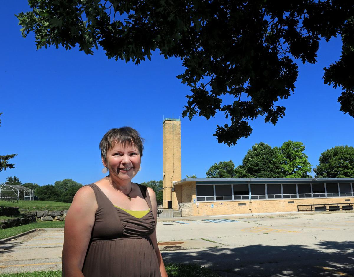 Searching For Chimneys To Protect Swifts Science Environment Madison Com