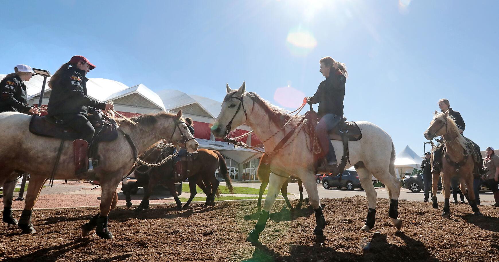 Midwest Horse Fair traffic delays start Friday - Vimarsana News