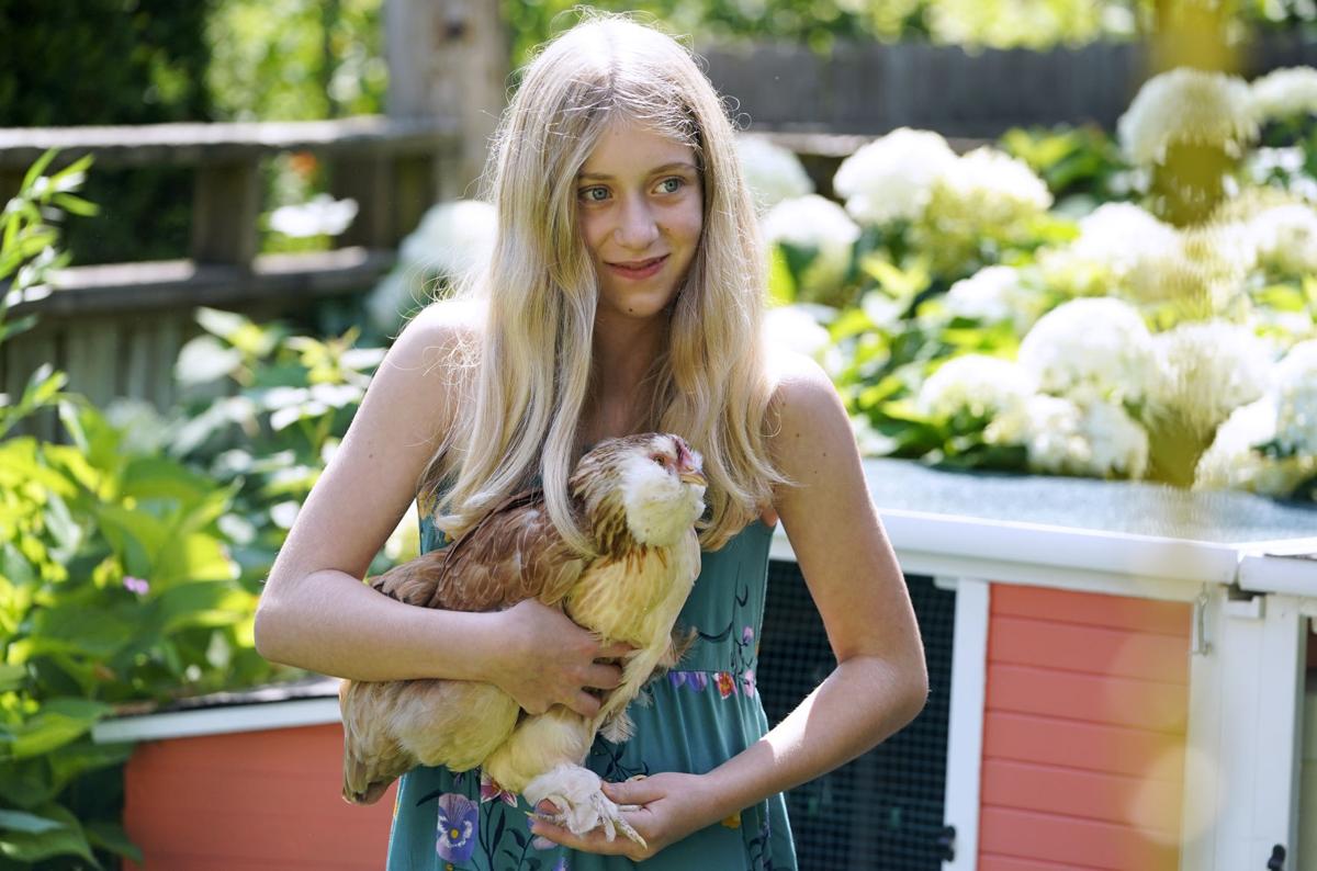Pippa with chicken