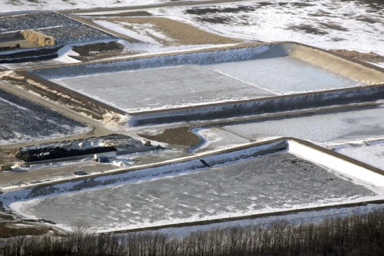 factory farm (Day 1) No. 4