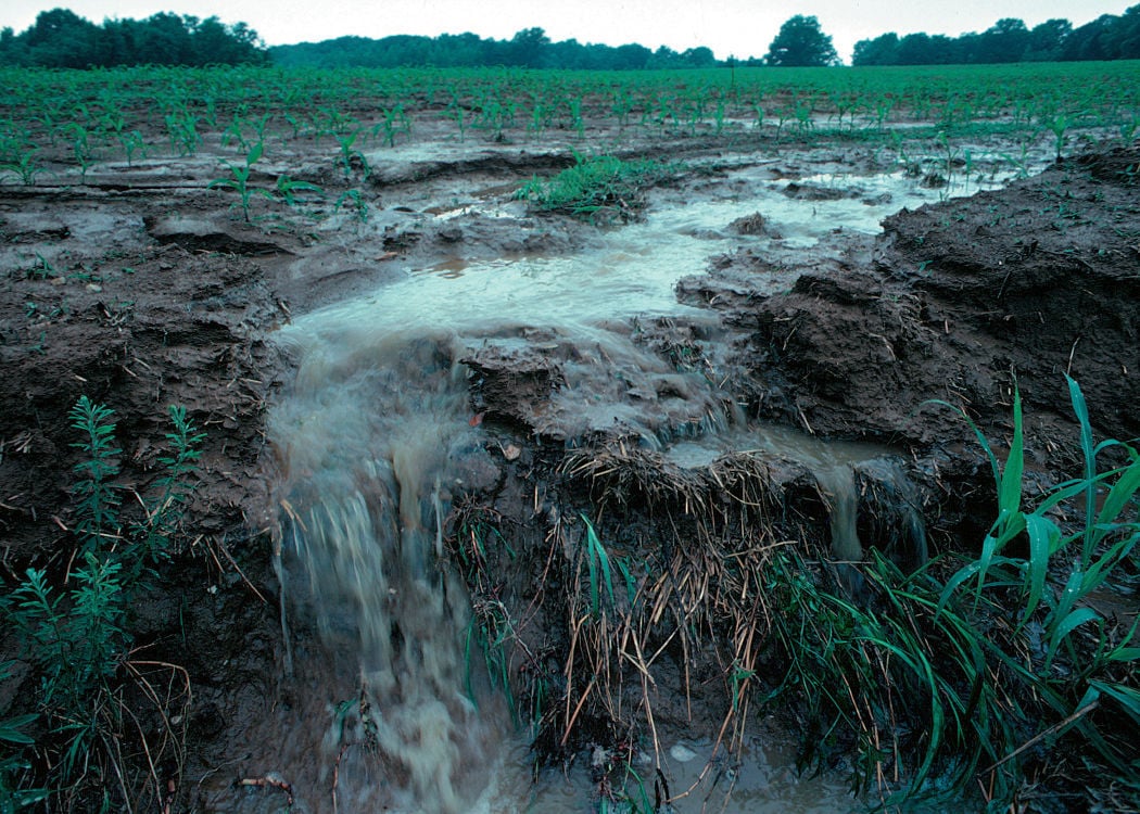 Runoff from farm field