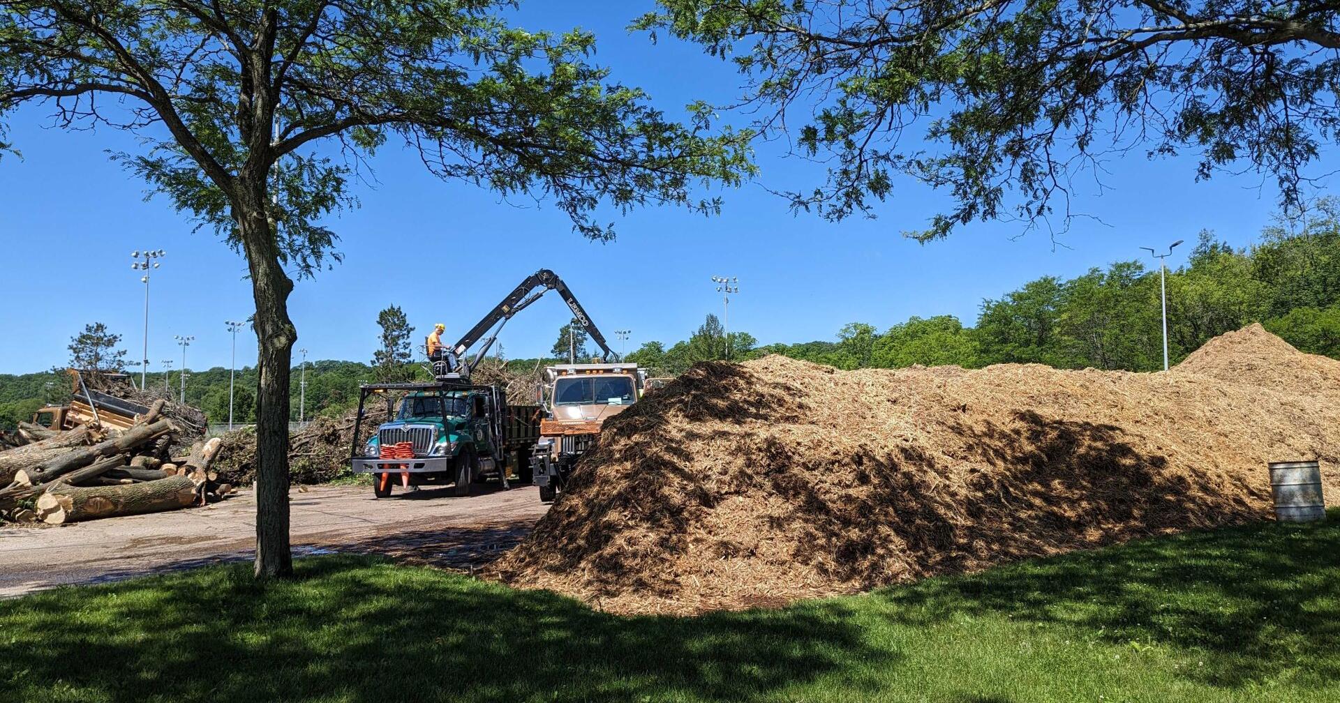 May 21 storms yield free mulch available at Madison parks - Vimarsana News