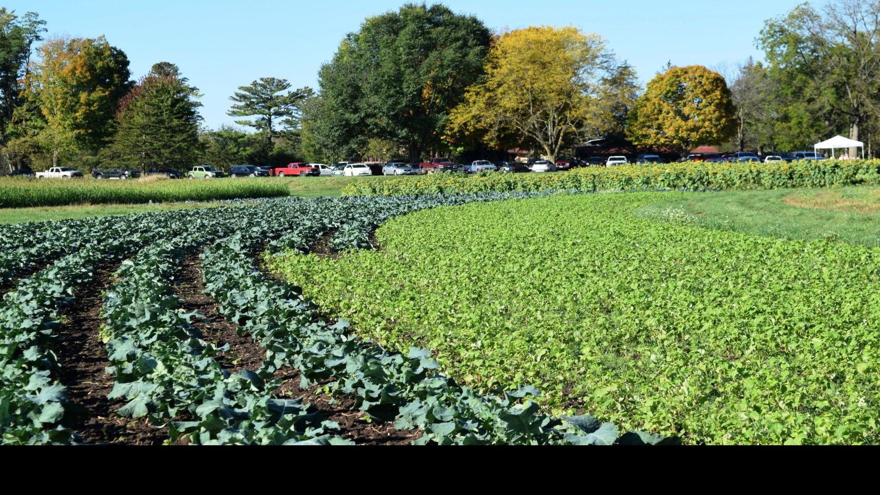 Ask The Weather Guys Does Lightning Add Nitrogen To The Soil Weather Madison Com