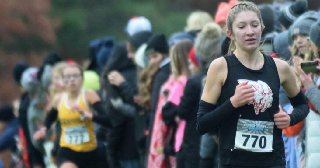 Harvard recruit leads Mount Horeb at state cross country
