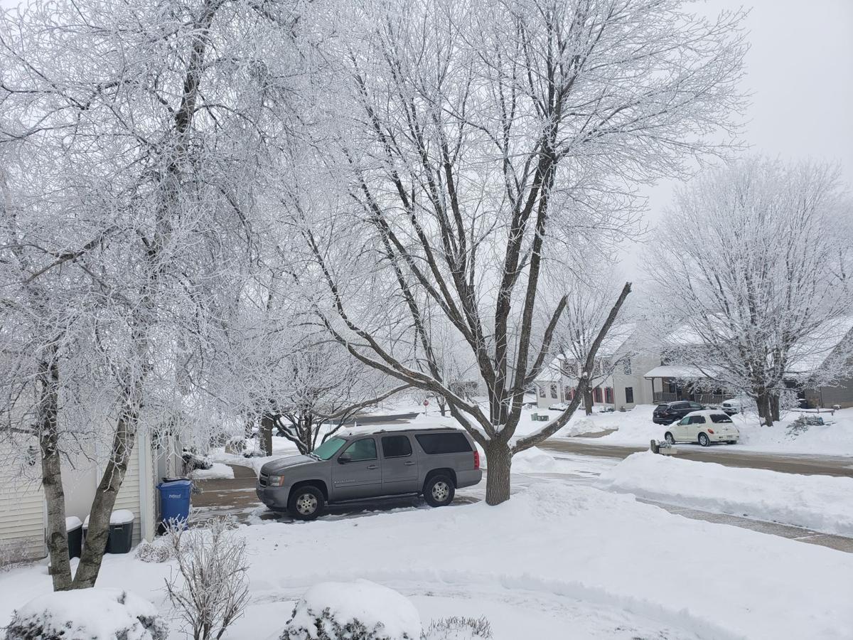 Foggy And Warm For Winter Monday For Southern Wisconsin But Polar Vortex May Bring Bitter Cold Later In January Weather Madison Com Everyday greetings images, gifs, pics. winter monday for southern wisconsin
