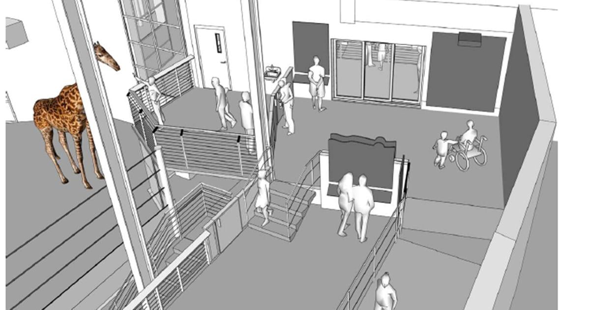Vilas Zoo planning giraffe exhibit as new foundation to raise funds takes hold