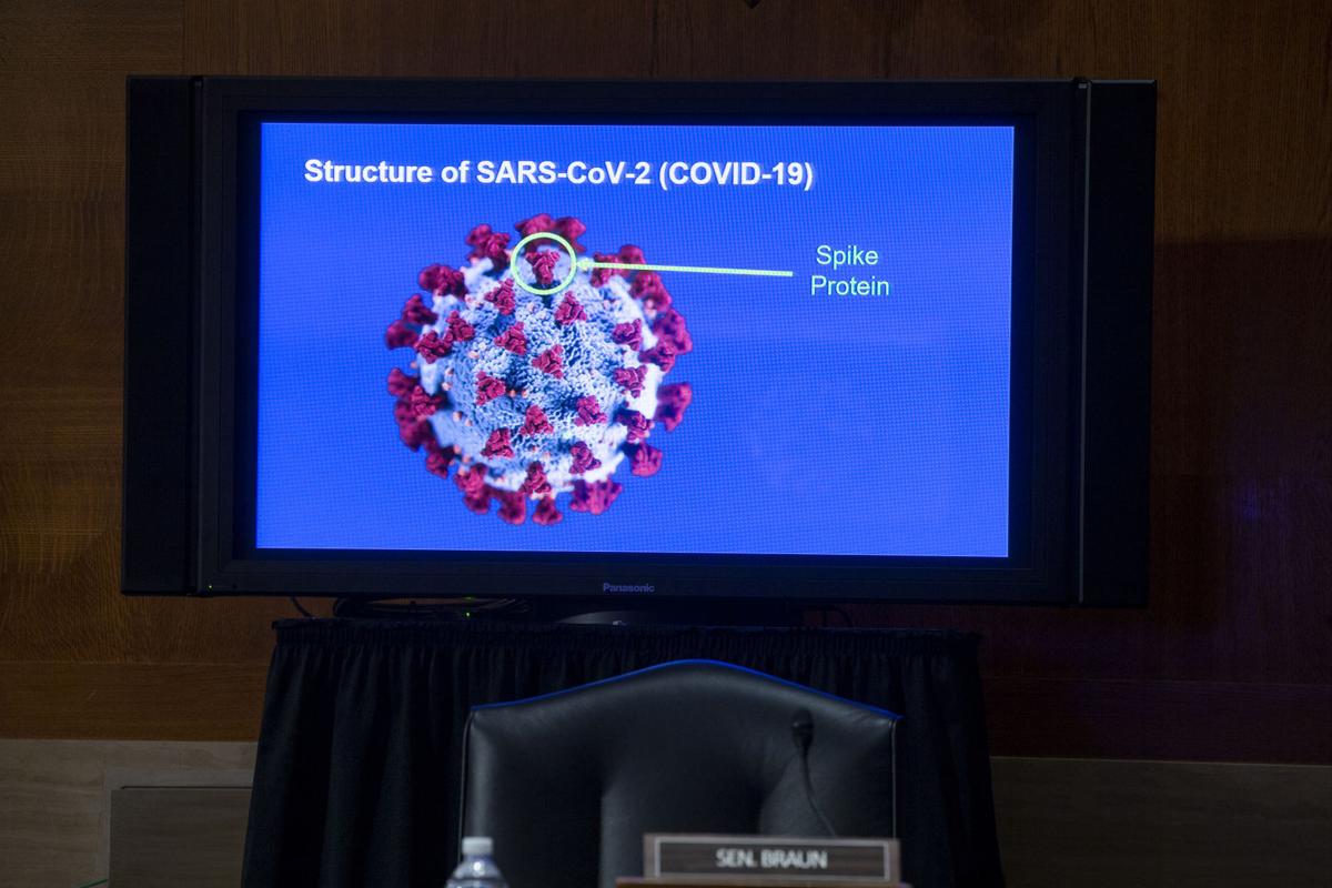 Virus Outbreak Vaccine