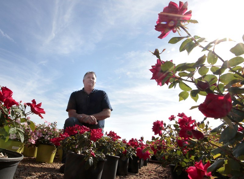 Longevity In Business Mckay Nursery Sprouted 115 Years Ago Longevity In Business Mckay Nursery