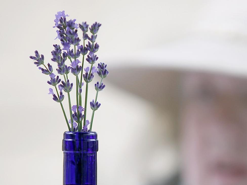 Lavender Works Well In The Kitchen Bathroom Bedroom And Laundry Room Lifestyles Madison Com