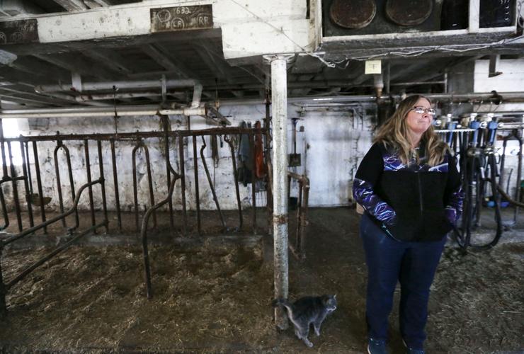 Brenda in milking parlor