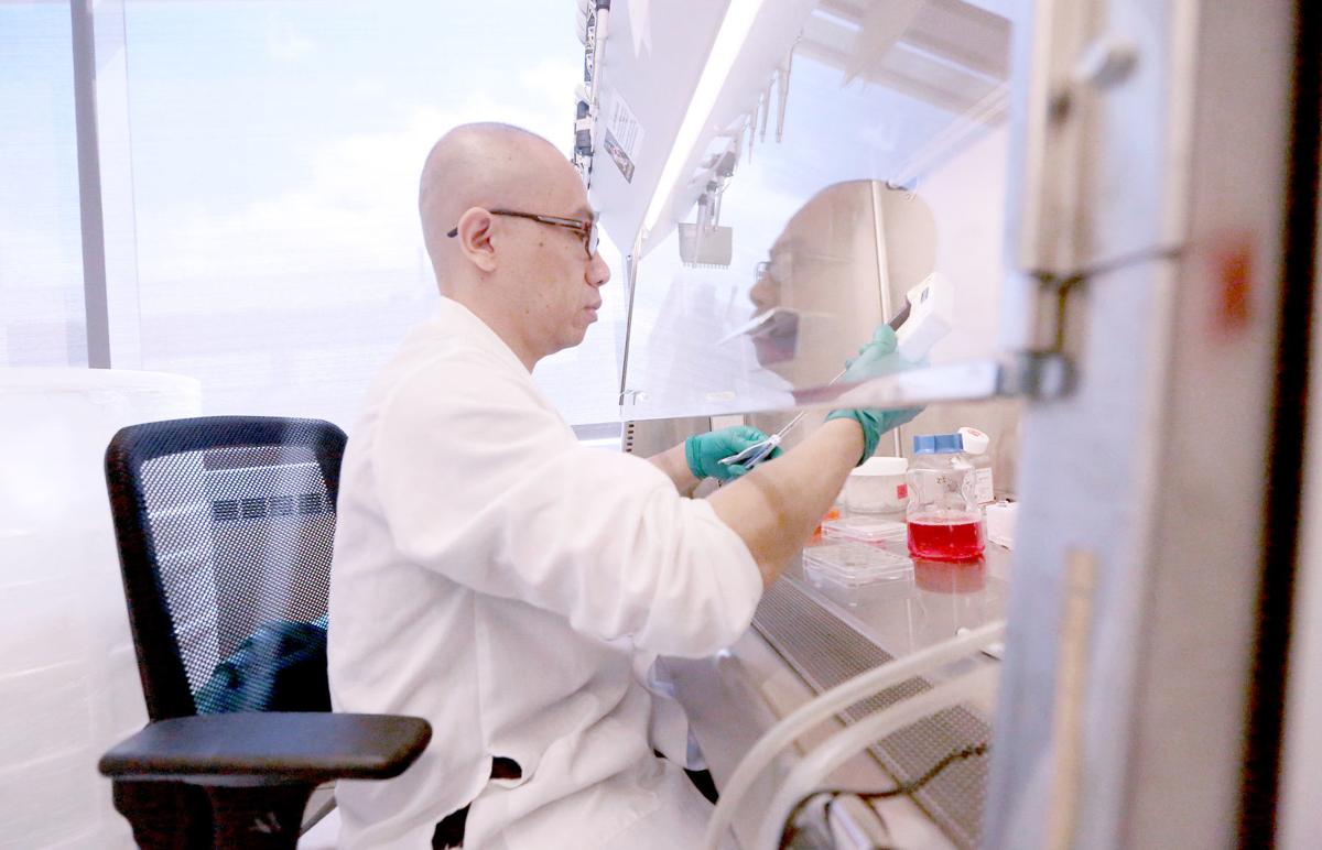 UW Stem Cell