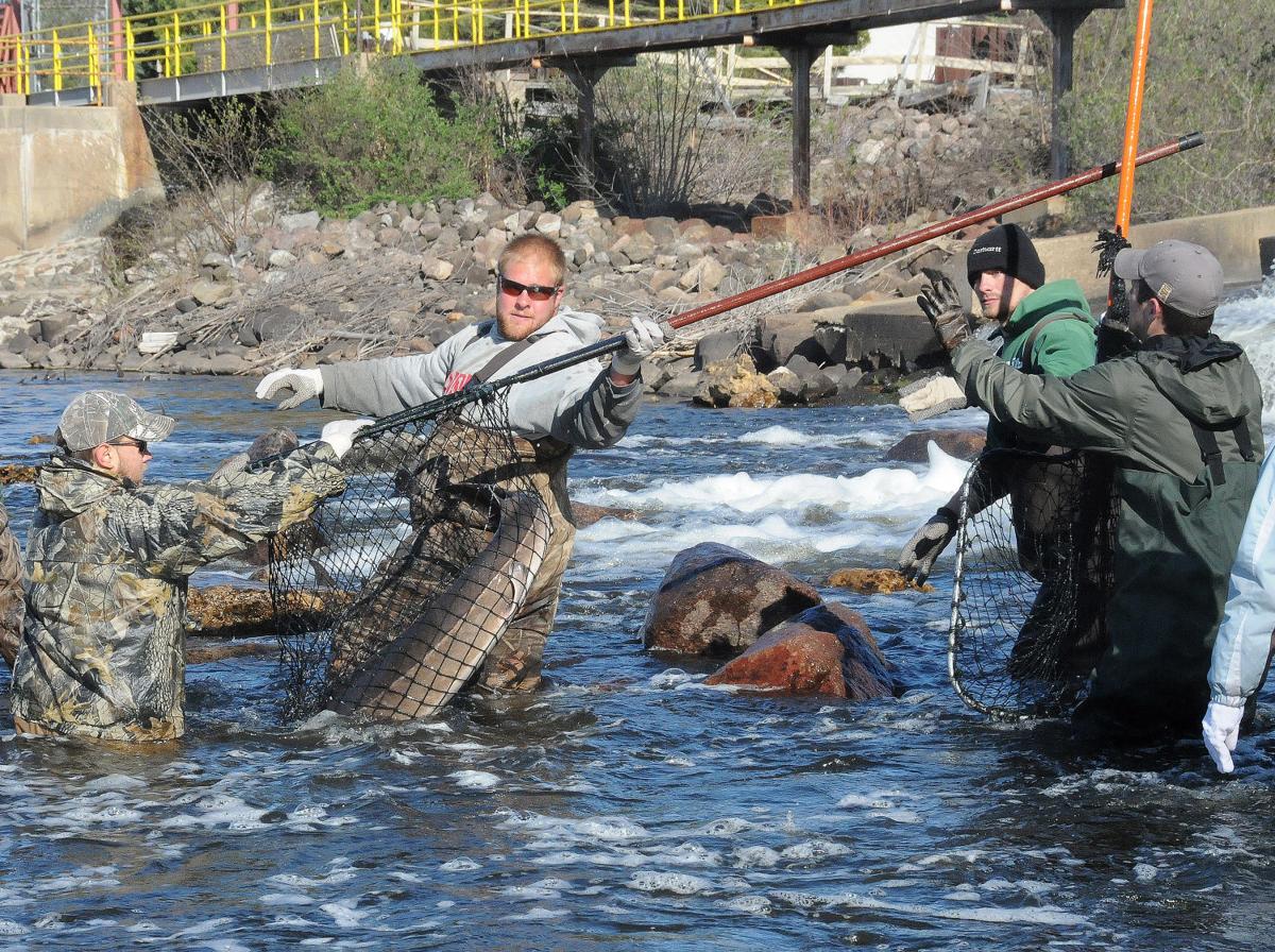Patrick Durkin Legislators Tom Tiffany And David Steffen Caught In Their Traps Outdoors Madison Com