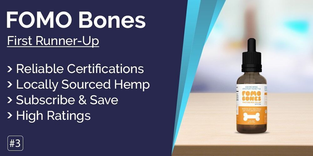 Originated Media_Best CBD oil for dogs_img3.jpg