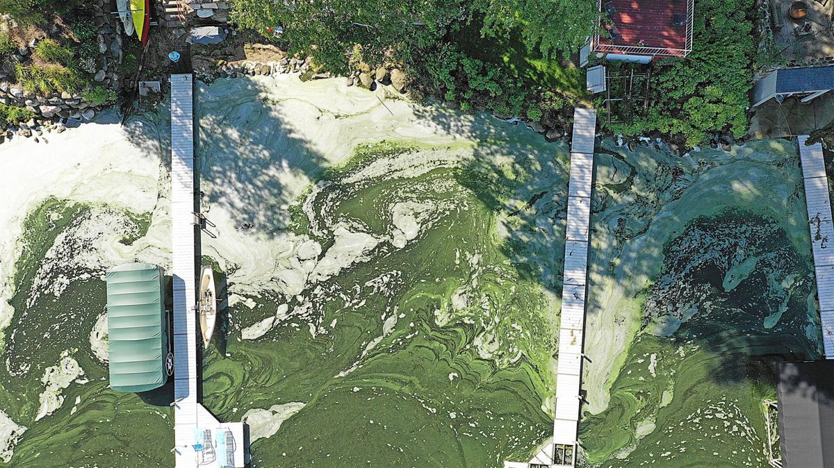 Algae Aerials