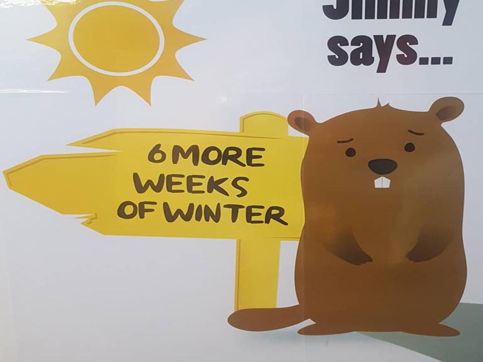 Jimmy Sees Shadow On Groundhog Day 6 More Weeks Of Winter On Tap