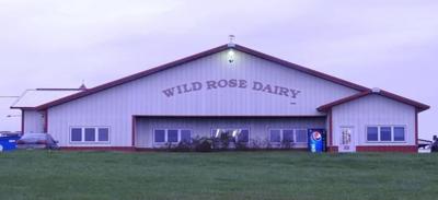 wild rose dairy
