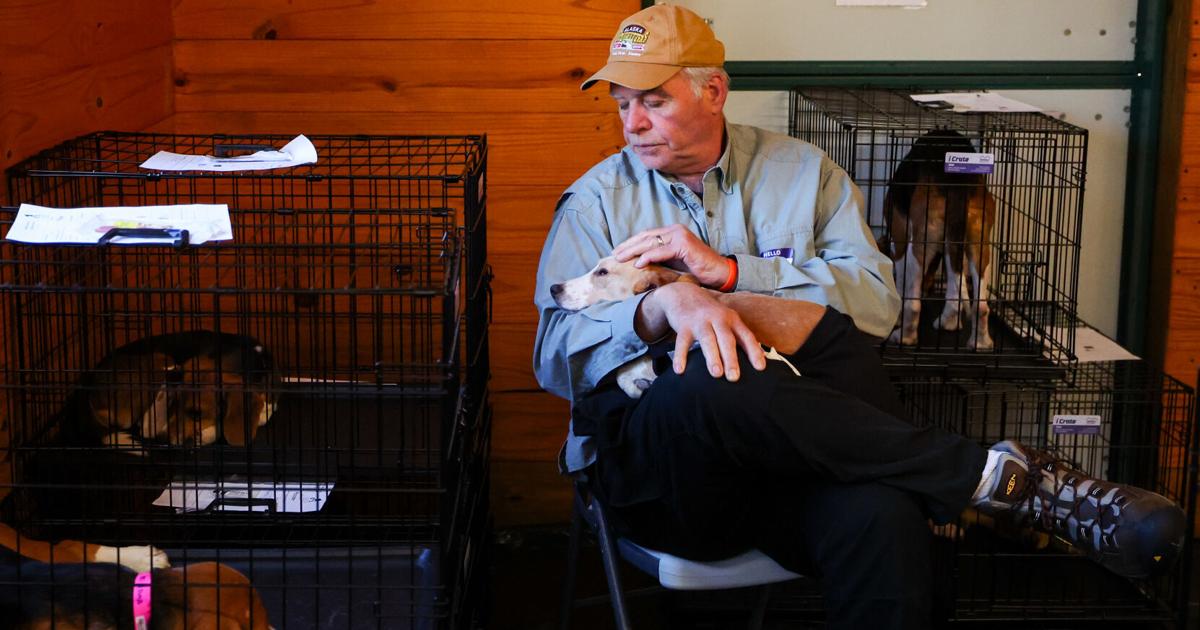 Photos: Ridglan beagles treated by Dane County Humane Society