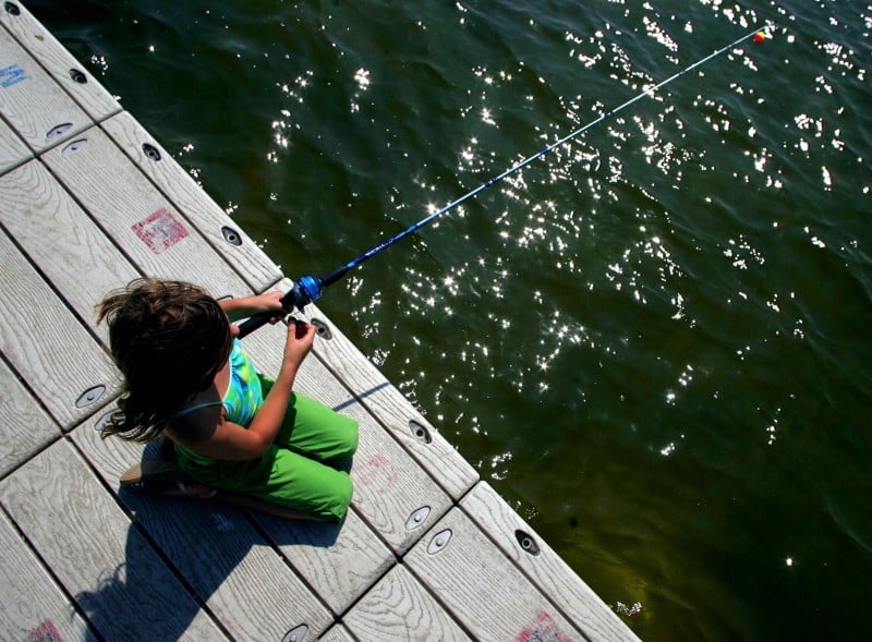 Lake Wingra Looks So Pretty On 8 Bit >> Without The Carp Lake Wingra Cleans Up Local News Madison Com Lake Wingra Looks So Pretty On 8 Bit >> Without The Carp Lake Wingra Cleans Up Local News Madison Com