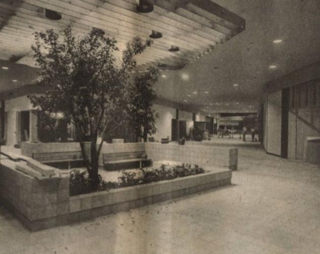 Valley View Mall: Skylights