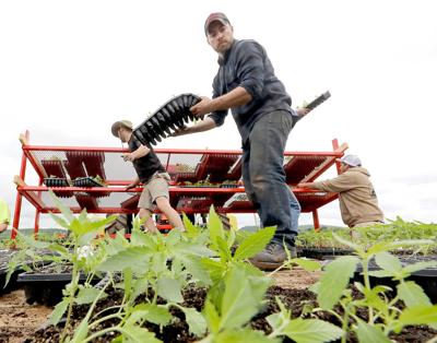 A Hemp Revival Spreads Across Wisconsin Creating A New