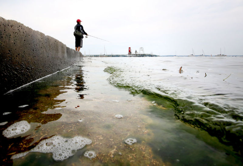 Toxic algae season in full bloom, officials say